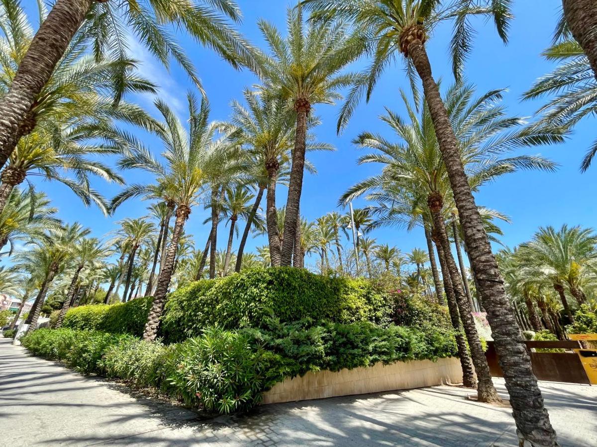 Apartmán Casa Del Mar Santa Pola Exteriér fotografie